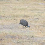 IMG_0172