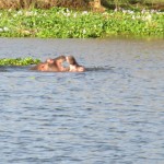 IMG_0339