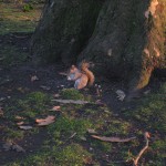 stjamespark3
